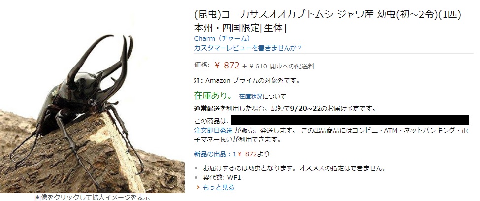 幼虫